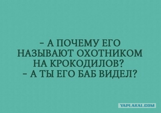 Так себе картинки 15.04.23