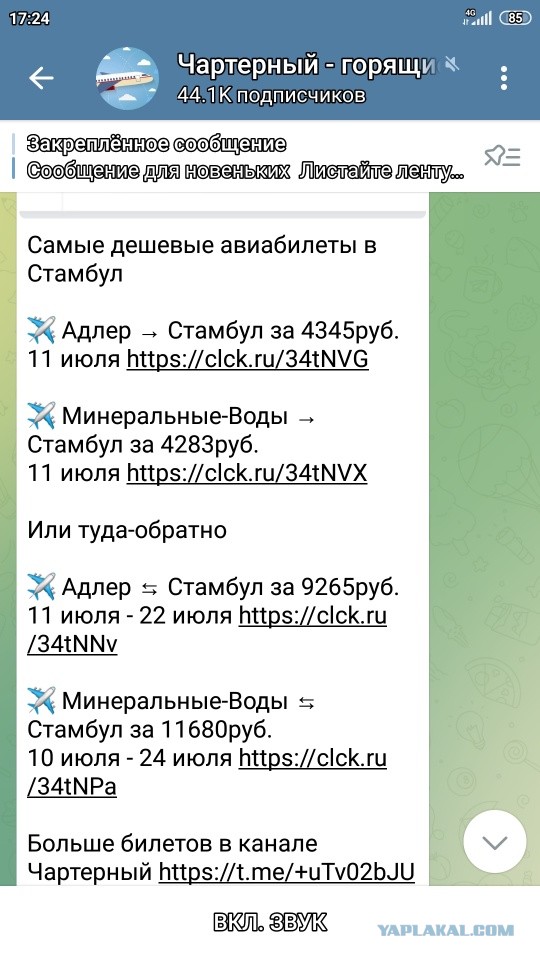Турция потеряла летом 35-40% российских туристов — Ассоциация туроператоров России