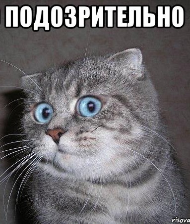 Не пойму никак, а что она хочет-то?