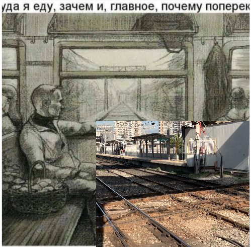 Весёлый полтишок 29.08.23