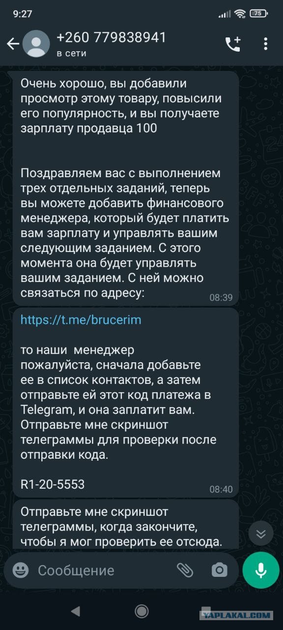 Как я кинул кидал