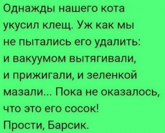 Бояны 10-ти летней выдержки