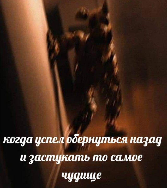 Три десятка забавных картинок на экватор недели