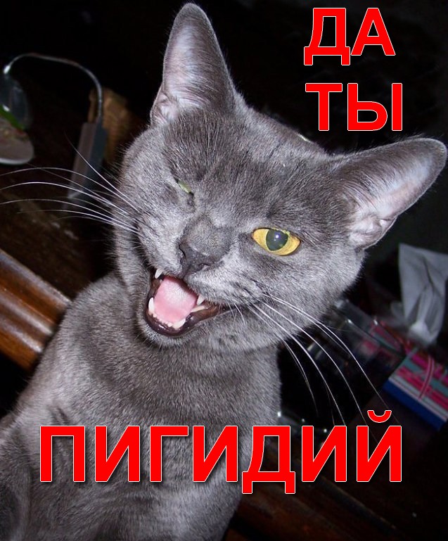 Упоротый хрустик ...
