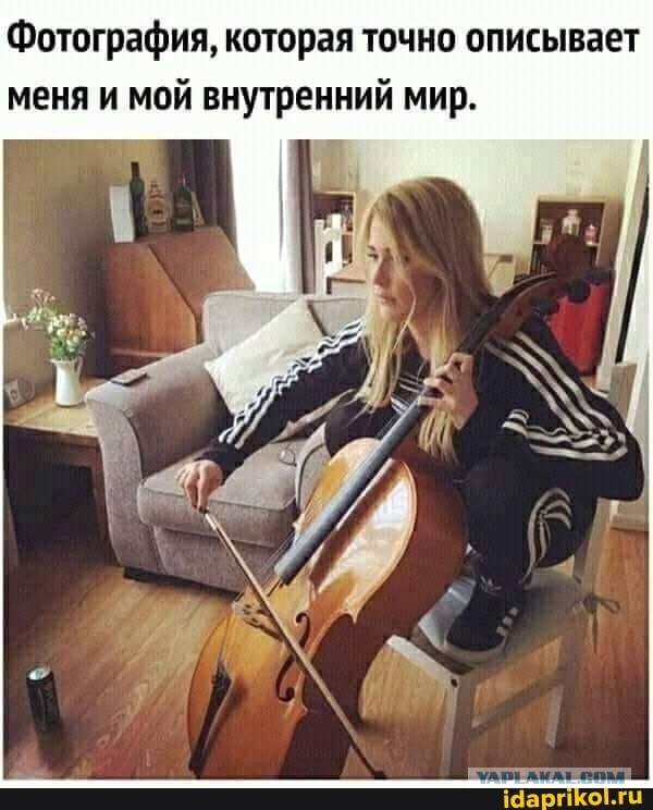 Весёлый полтишок 13.08.24