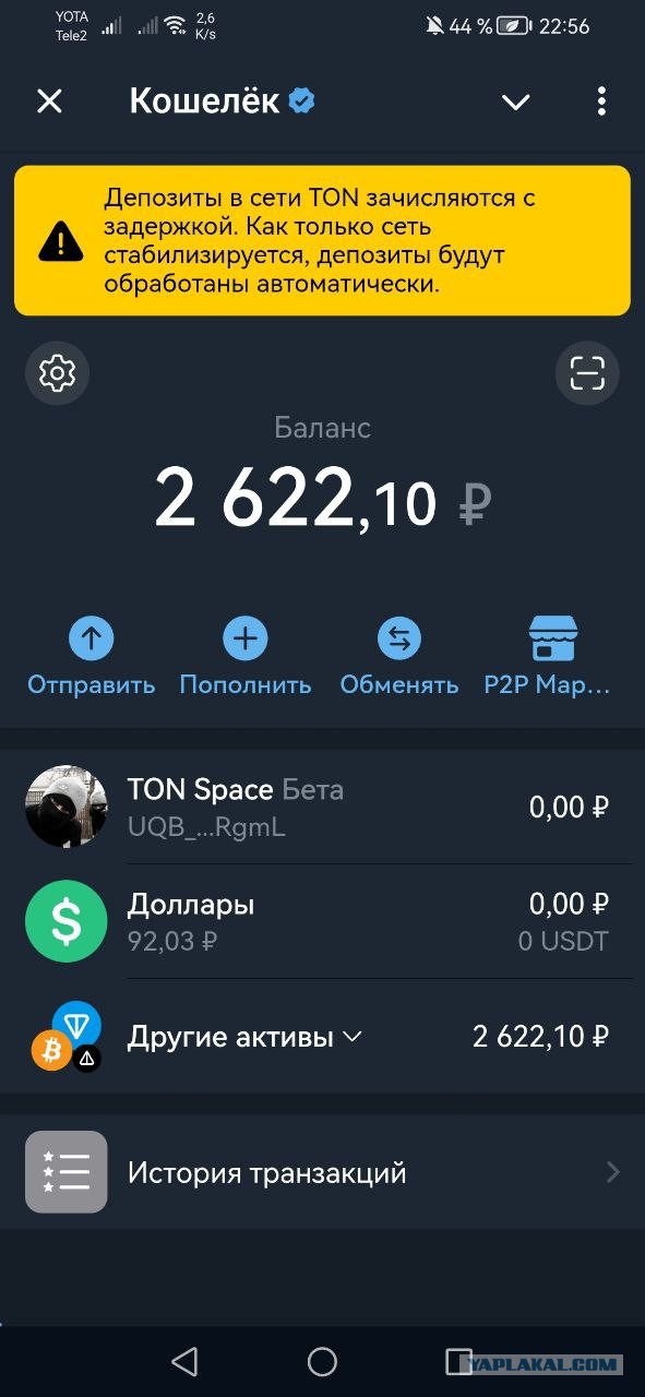 IT мира и свобода слова