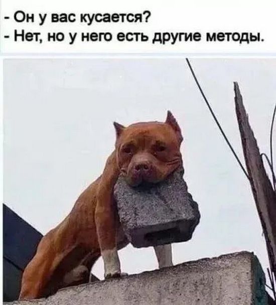 Завалялось тут случайно немного забавных картинок
