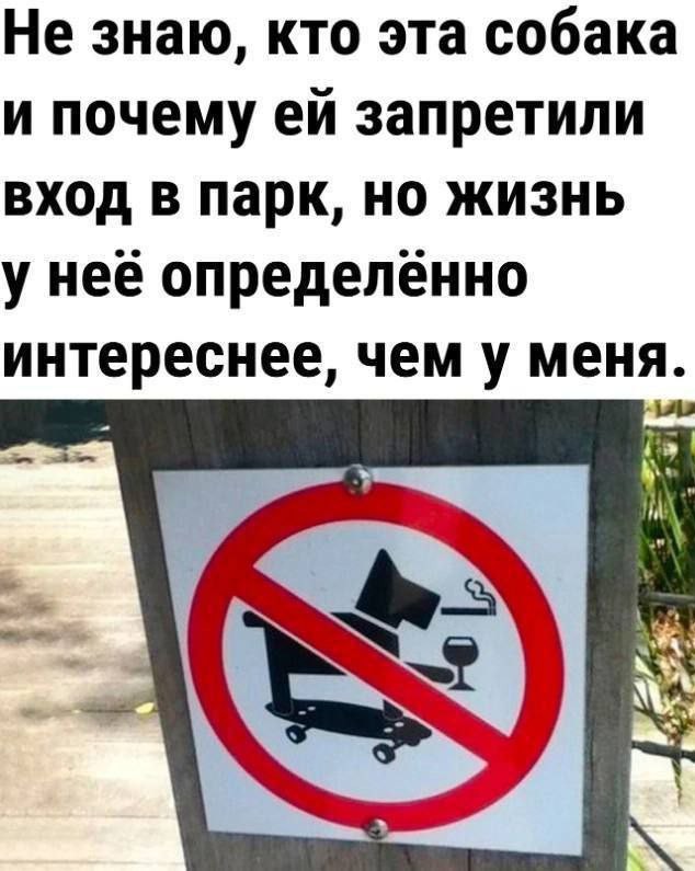 Так себе картинки 28.12.24
