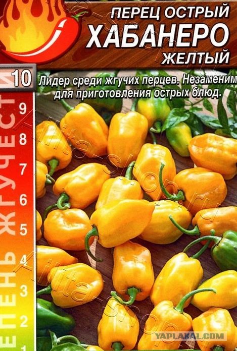 Затухаю к 40