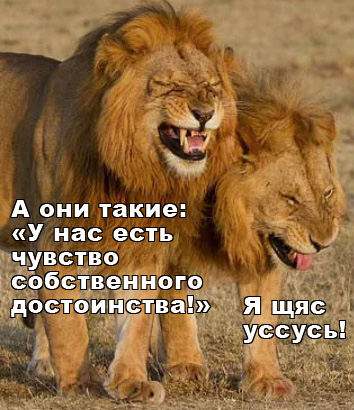 Лыжники, зарегистрировавшиеся на Мурманский лыжный марафон, в бешенстве: мероприятие перенесли из-за чиновников