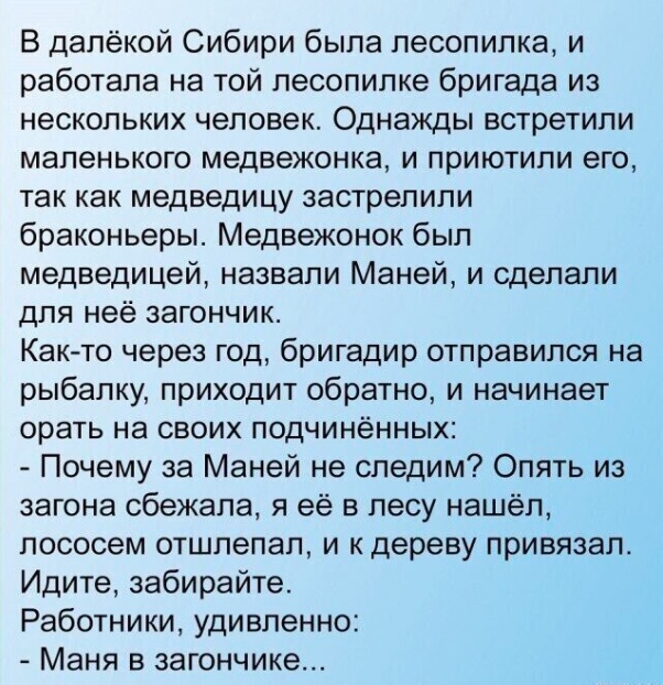 Так себе картинки 19.02.25
