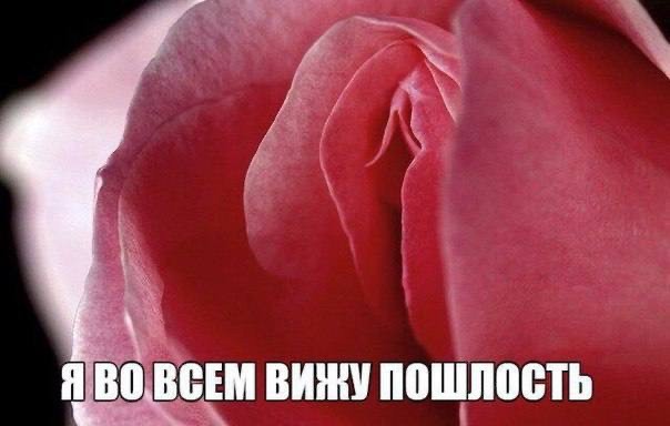 Так себе картинки 17.03.25