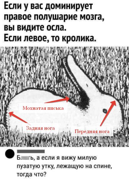 Веселые картинки в пятницу (11.04)