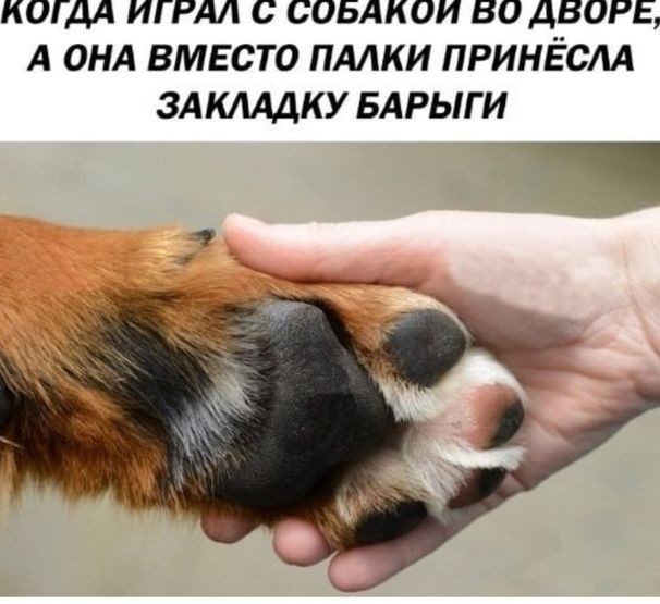 Накидал, братва, картинок