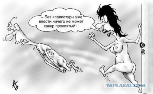 Смешные картинки с надписями и чужой кот