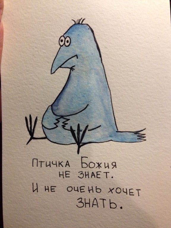 Прикольные и просто красивые картинки 16.05.2025