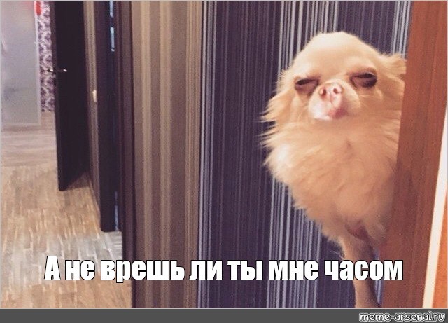 Чтобы вы выбрали?