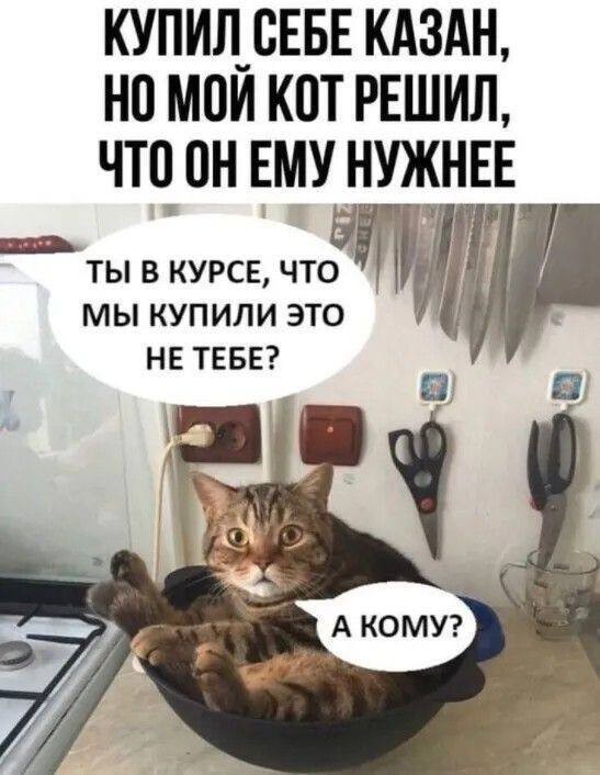 Веселые картинки в маленькую пятницу (15.07)