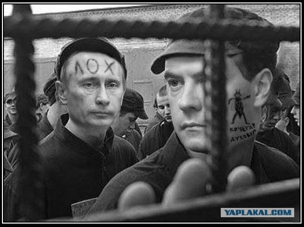 Теперь ты видел всё