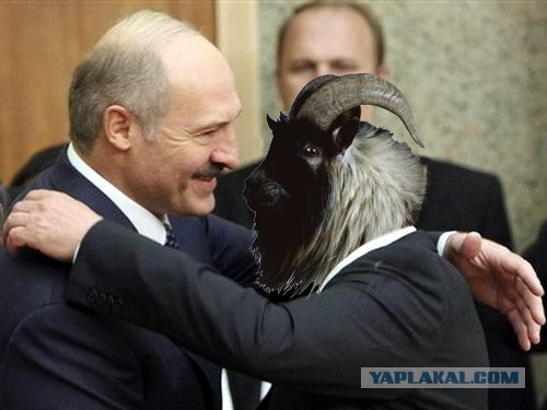 Встреча Лукашенко и Путина.