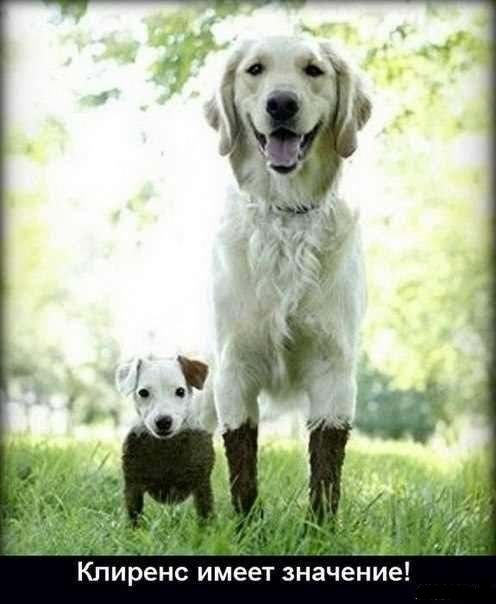 Подборка забавных и курьезных фотографий