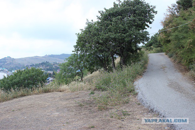 Арабатская стрелка