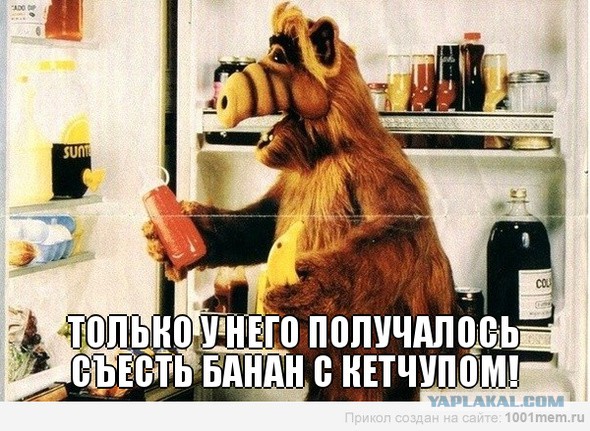 Я бы съел!