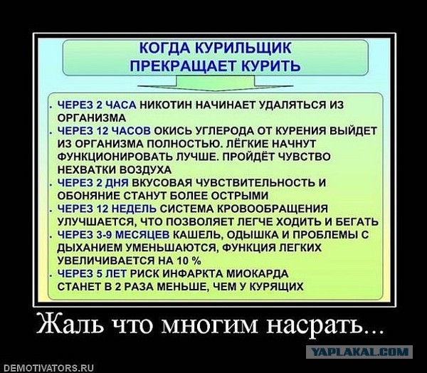 Демотиваторы октября.