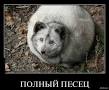 Странные и загадочные из соцсетей