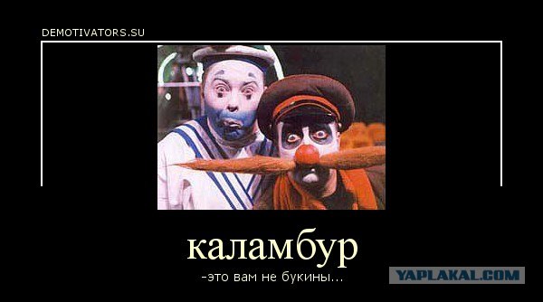 Бройлер 747