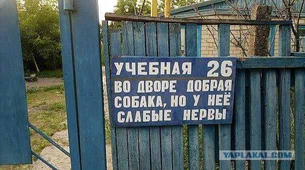 Забавные картинки из Сети
