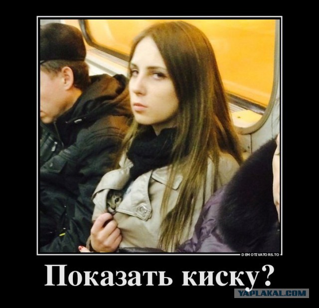25 котофотоприколов.