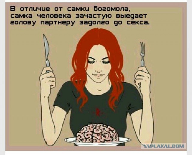 Для поднятия настоения