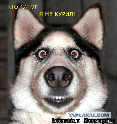 Минутка наркомании на ЯПе