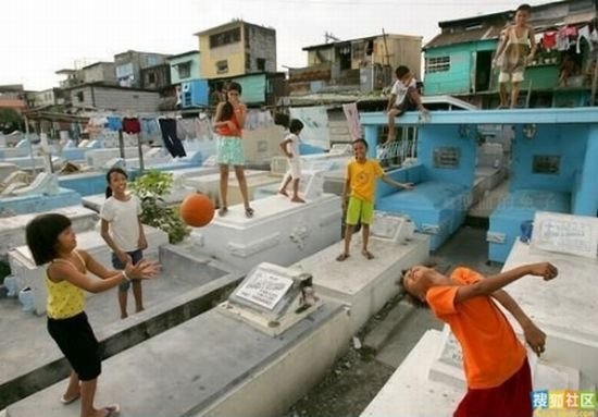 Жизнь в гробнице