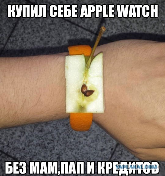 Плюшкиным посвящается