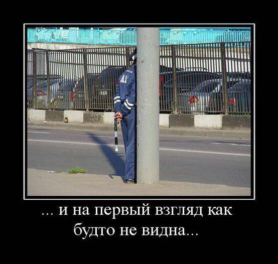 Прикольные картинки и демотиваторы