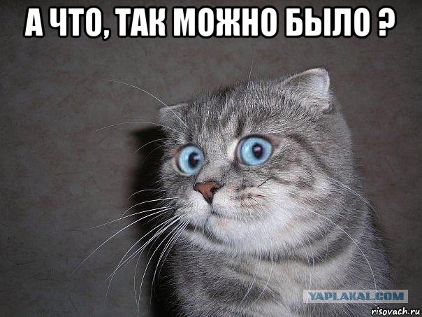 Как я отдавала бесплатно холодильник