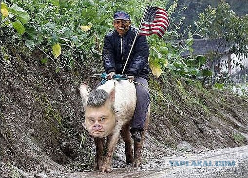 Гроб со свиньей принесли к зданию Верховной рады