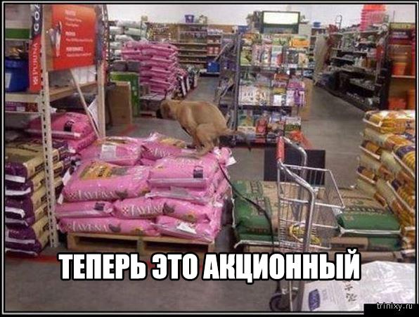 Разные картинки