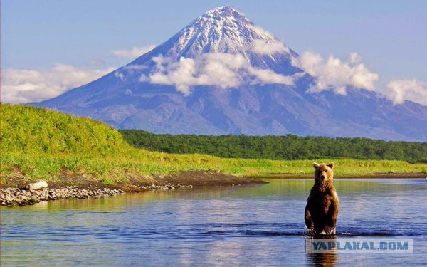 Больше, чем фото