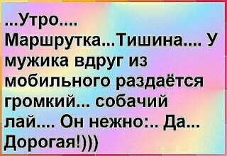 Анекдоты. Фразы.