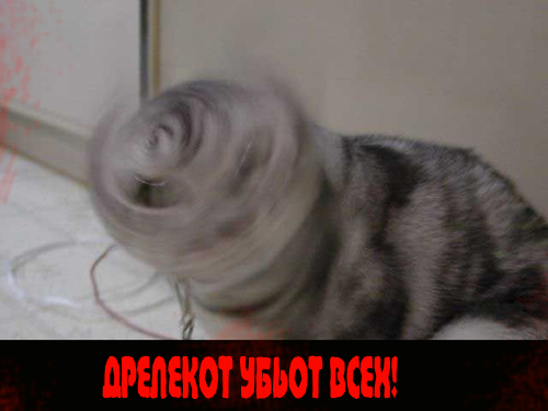 Вторничный котомёт!