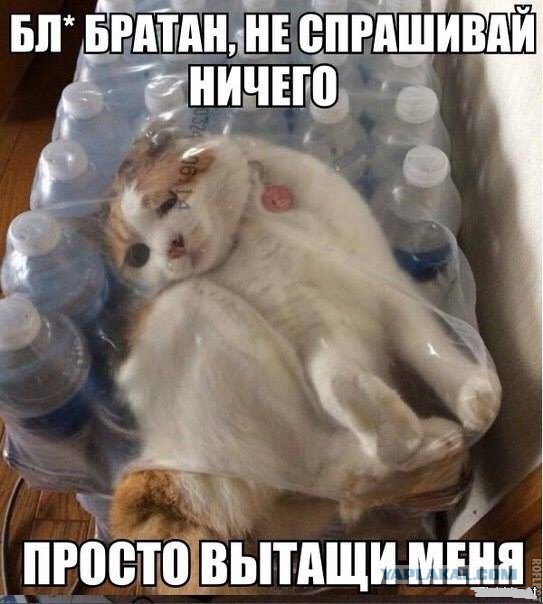 Подборка картинок