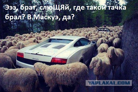Для поднятия настроения - 2
