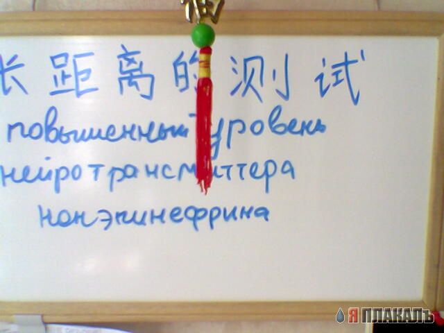 Смешная бумага ** Плакаты, вырезки из газет