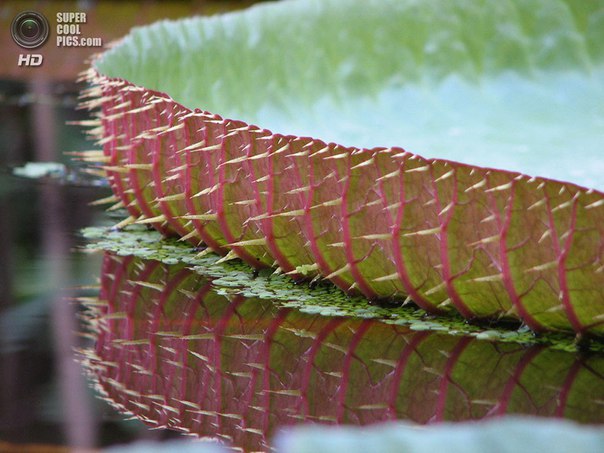 Интересные и веселые картинки