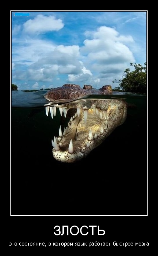 Подборка смешных, не очень и просто красивых фотографий