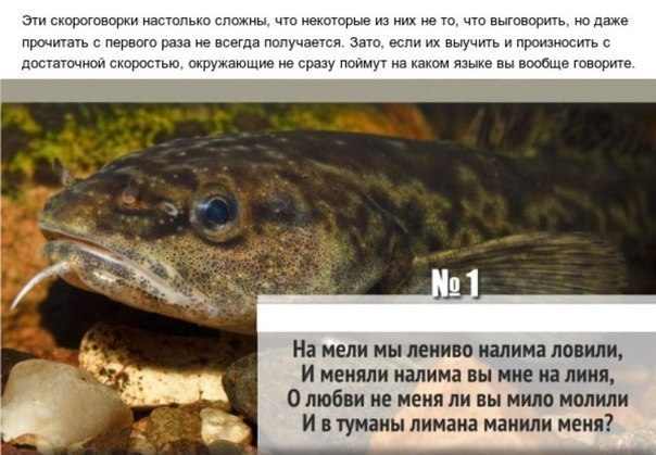 Интересные и веселые картинки