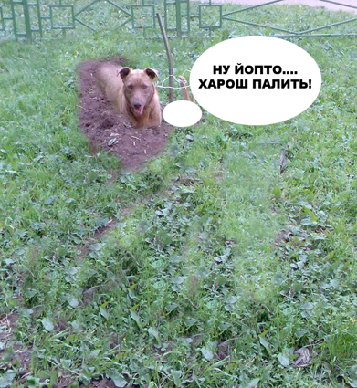 Фотожаба: да здесь где-то недалеко!